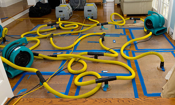 Professional Basement Flood Cleanup technician working in Dawson, AL
